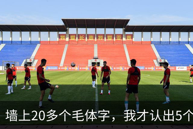 墙上20多个毛体字，我才认出5个！能全认出来的，读书是真下功夫了。学草书应该反复练一本帖，还是多看几家？