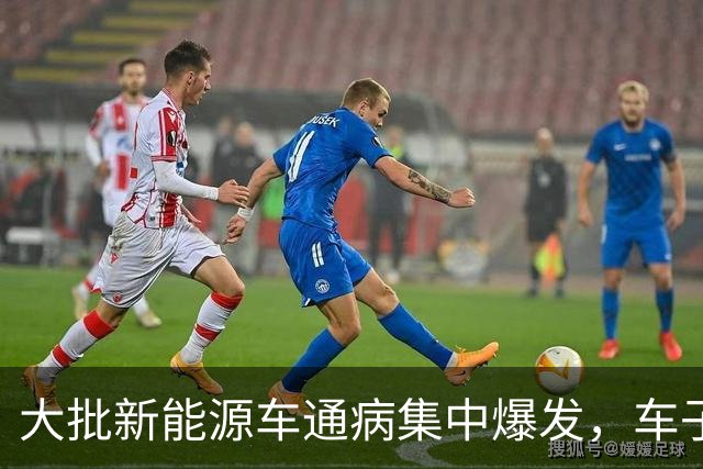 大批新能源车通病集中爆发，车子开着没问题，电池却直接废掉